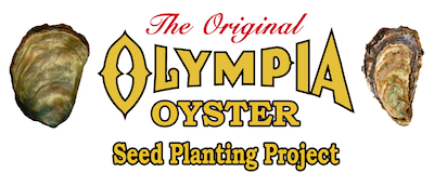 Olympia Oyster Seed Planting Project